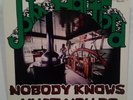John Hartford   Nobody Knows What You Do   LP