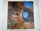The Bridge-A Tribute to Neil Young Vinyl LP Pixies Sonic Youth Soul Asylum More