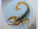 SCORPIONS Big City Nights PICTURE DISC 1984 Like NEW England press Klaus Meine