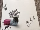 red hot chili peppers im with you signed vinyl