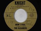 Garage 45 - Cleaners - How I Feel - Knight - mp3
