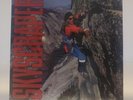 David Lee Roth - Skyscraper  Van Halen Vinyl Record NEW