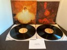 Sarah Mclachlan RARE Fumbling Towards Ecstasy And The Freedom Sessions Vinyl 2LP