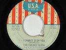 Garage Psych 45 - Cherry Slush - I Cannot Stop You - U.S.A. - mp3