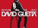 David Guetta Nothing But the Beat (Vinyl) 12