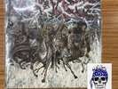 Suicidal Tendencies/No Mercy - Widespread Bloodshed 2293 Used LP