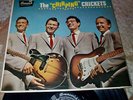 THE 'chirping' CRICKETS *Orig* BRUNSWICK Buddy Holly ROCKER Not Fade Away OH BOY