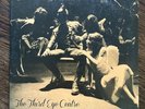 Third Eye Centre by Belle and Sebastian, Double Album Vinyl Record, 2013