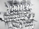 Gomez Whatever's On Your Mind (Vinyl)
