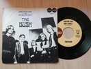 The Bush - Feeling Sad And Lonely 1965 USA 45 HIBACK Rare GARAGE