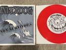UNDERDOG Sandy Survivors 7” record vinyl Nyhc Skaterock Punk Bad Brains Rare Oop