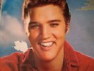 ELVIS - FOR LP FANS ONLY / RCA VICTOR LPM-1990