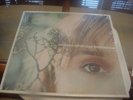 MELISSA ETHERIDGE breakdown, m- lp on ISLAND 1999, 10 PHOTOS AND 7