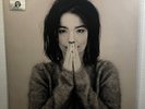 BJORK Debut LP ONE LITTLE INDIAN Ltd 2000 UK Sealed Limited 180G Heavy Vinyl