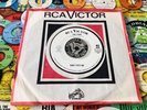 SUE LYNN  DON’T PITY ME  DON RAY * BORN A LOSER * WIGAN  NORTHERN SOUL
