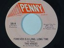 Northern Soul 45 VOICES Forever Is A Long Time/Fall In Love Again on Penny VG++