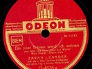 ZARAH LEANDER Ein paar Tränen werd' ich weinen/ ..Liebe   Schellackplatte S7136
