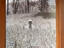 Taylor Swift FOLKLORE 