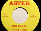 THE WILD FLOWERS - (Michael Bruce of Alice Cooper)  