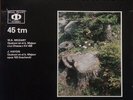 Suk Quartet Mozart Quatuor Haydn Unfinished Quatuor 45 RPM 12