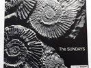 The Sundays Reading Writing and Arithmetic Orig 1990 Uk 12