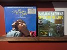 Sufjan Stevens Mystery Of Love LP  from Call Me By Your Name Vinyl Record rsd