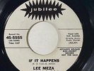 Lee Meza 