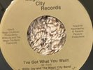 RARE MODERN SOUL/NORTHERN SOUL 45 - WILLIE JAY AND THE MAGIC CITY BAND