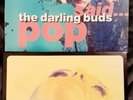 The Darling Buds, 2×12