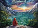 Skyforest - A New Dawn LP