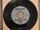 Terri & The Velveteens 45 You've Broken My Heart / Bells Of Love Female Doo Wop