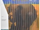 The Flaming Lips – The Soft Bulletin - Yellow Mustard VMP E082 (2019) NM/VG+