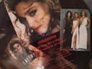 Madonna I Can Sing Like A Virgin 12
