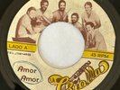 LA CRIOLLA - Amor Amor/ RARE PRIVATE SALSA ROMANTICA PUERTO RICO 45