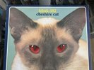 Blink-182 Cheshire Cat Red Eyes Vinyl