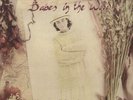 A5060149620229 Mary Black - Babes In The Wood 180 Gram Vinyl Record  New