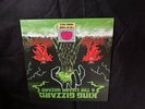 I'm in Your Mind Fuzz by King Gizzard and the Lizard Wizard (Record, 2014)