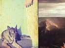 Bodies of Water - A Certain Feeling [New Vinyl LP]