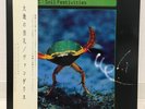 VANGELIS / SOIL FESTIVITIES JAPAN ISSUE LP W/ OBI, INSERT