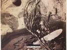 DAVID SYLVIAN  SECRETS OF THE BEEHIVE ORIG. 1987 PROMO LP & INNER EX+/VG+ *RARE*