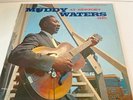 MUDDY WATERS 