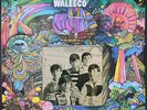 FLAT EARTH SOCIETY: waleeco PSYCHO 12