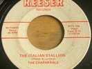 The Chaparrals -The Italian Stallion- Alabama Football Rockabilly 45 - Hear