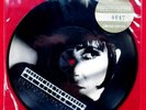 Siouxsie and the Banshees Picture Disc record 7