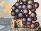 Moby Grape / WOW / 5 Album Bundle