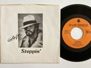 CURTIS LEE Steppin / Funkadize Me Please SPADE 45 Rare Modern Soul Funk NM MP3