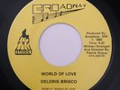 DELORIS BRISCO World of Love BROADWAY 45 Rare Modern Soul Stepper Electro MP3