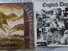 ENGLISH DOGS - Where Legend Began - Lp