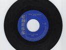 1959 Jimmy Rogers Rock This House b/w My Last Meal 45 Record Chess 1721