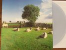 The KLF - Chill Out - Clear Vinyl UK Reissue LP Record - NEW  (2 Copies)